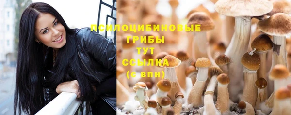 эйфоретик Волоколамск