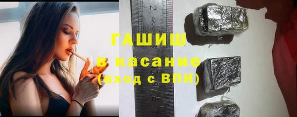 индика Тобольск