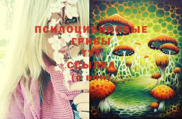MESCALINE Вязьма