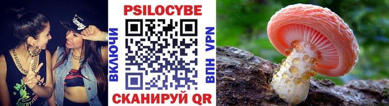 Псилоцибиновые грибы Psilocybine cubensis omg онион Кисловодск