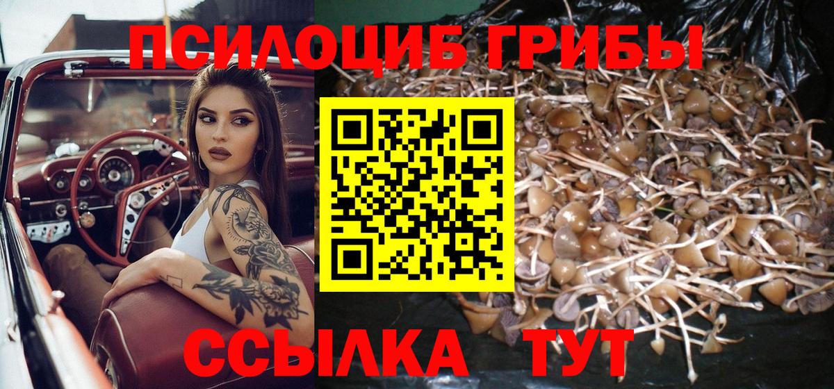 Галлюциногенные грибы Psilocybine cubensis  Вход с VPN  Кисловодск  Псилоцибиновые грибы Cubensis 